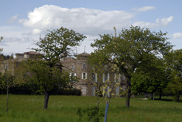  DSC0474