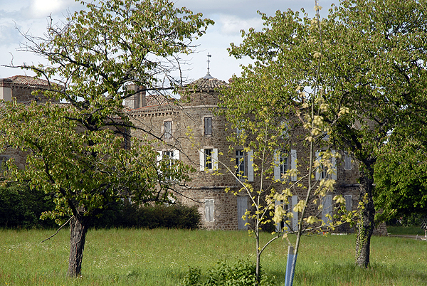  DSC0475