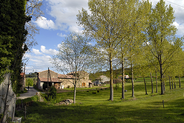  DSC0477