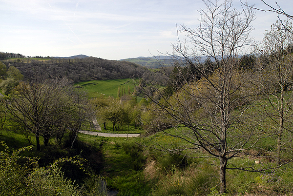  DSC0504
