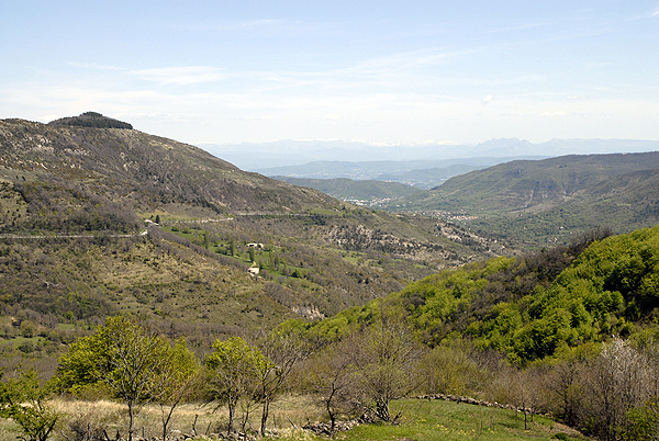  DSC0516