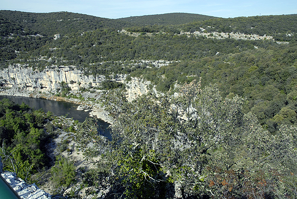  DSC0551
