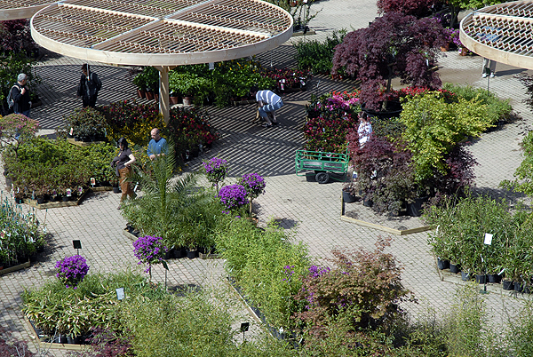  DSC0571